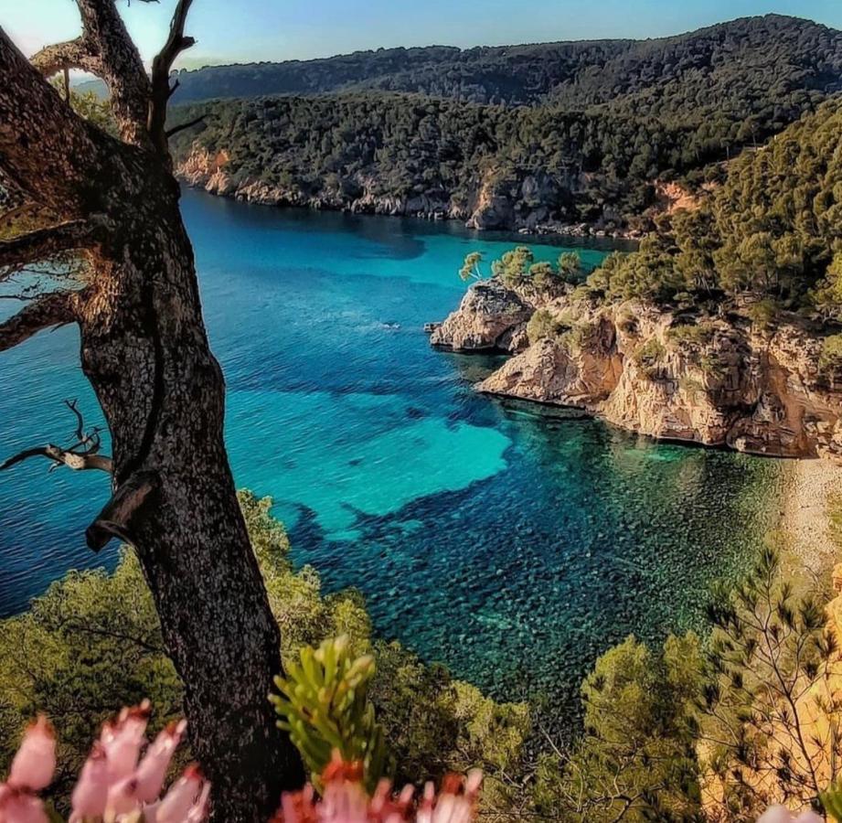 Logement Vue Mer Splendide - Situe A 50 Metres Du Bord De Mer Et 2 Minutes Des Plages - Bandolina Dış mekan fotoğraf