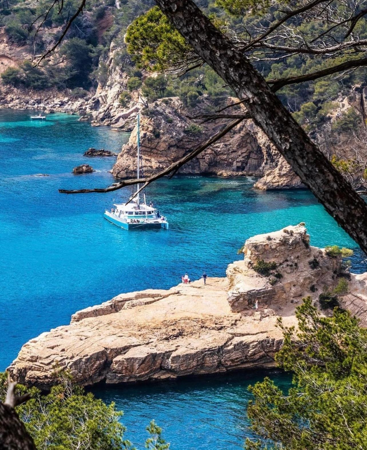 Logement Vue Mer Splendide - Situe A 50 Metres Du Bord De Mer Et 2 Minutes Des Plages - Bandolina Dış mekan fotoğraf