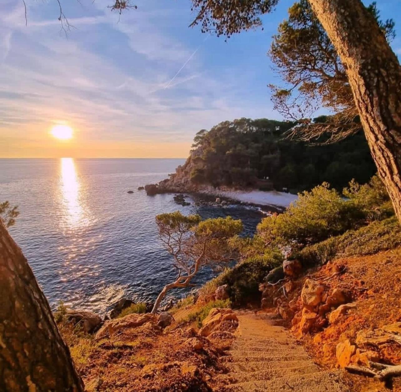 Logement Vue Mer Splendide - Situe A 50 Metres Du Bord De Mer Et 2 Minutes Des Plages - Bandolina Dış mekan fotoğraf