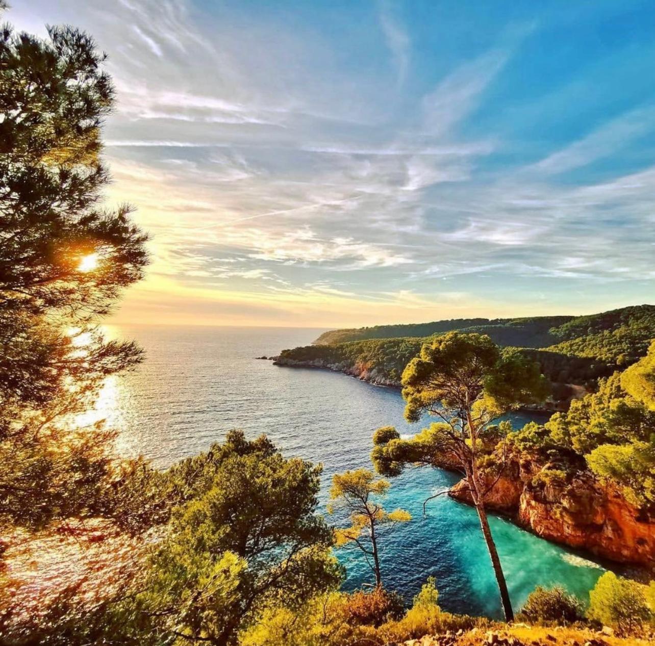 Logement Vue Mer Splendide - Situe A 50 Metres Du Bord De Mer Et 2 Minutes Des Plages - Bandolina Dış mekan fotoğraf