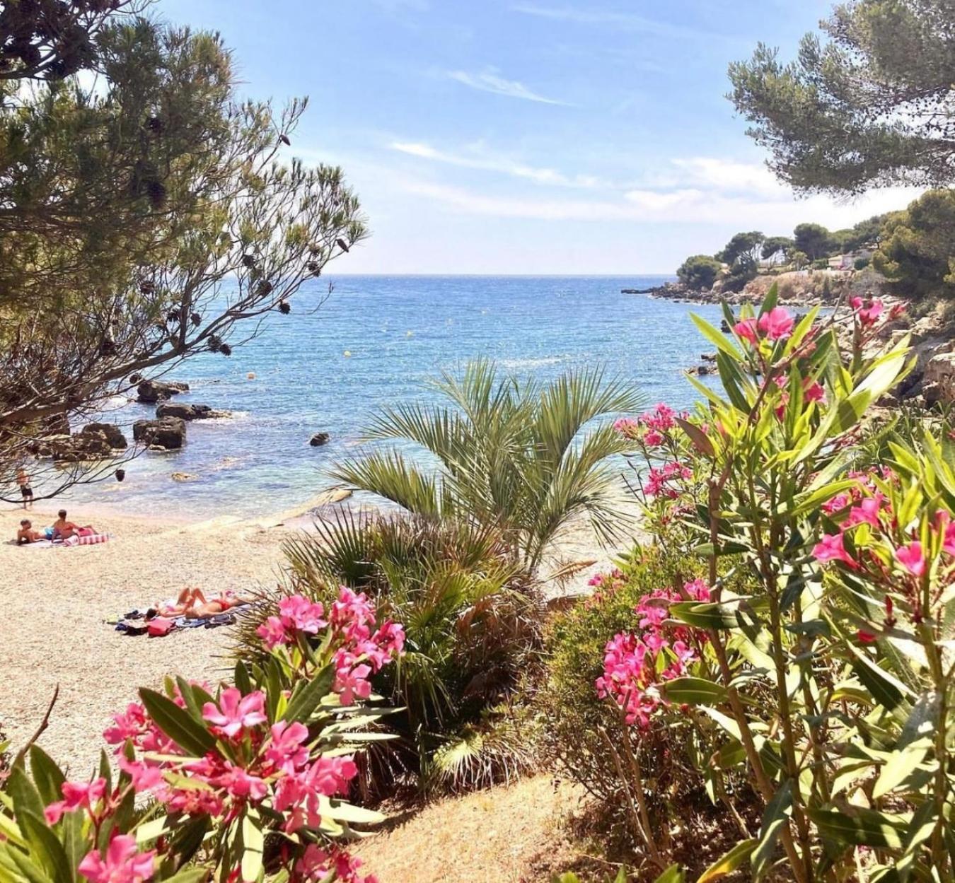 Logement Vue Mer Splendide - Situe A 50 Metres Du Bord De Mer Et 2 Minutes Des Plages - Bandolina Dış mekan fotoğraf