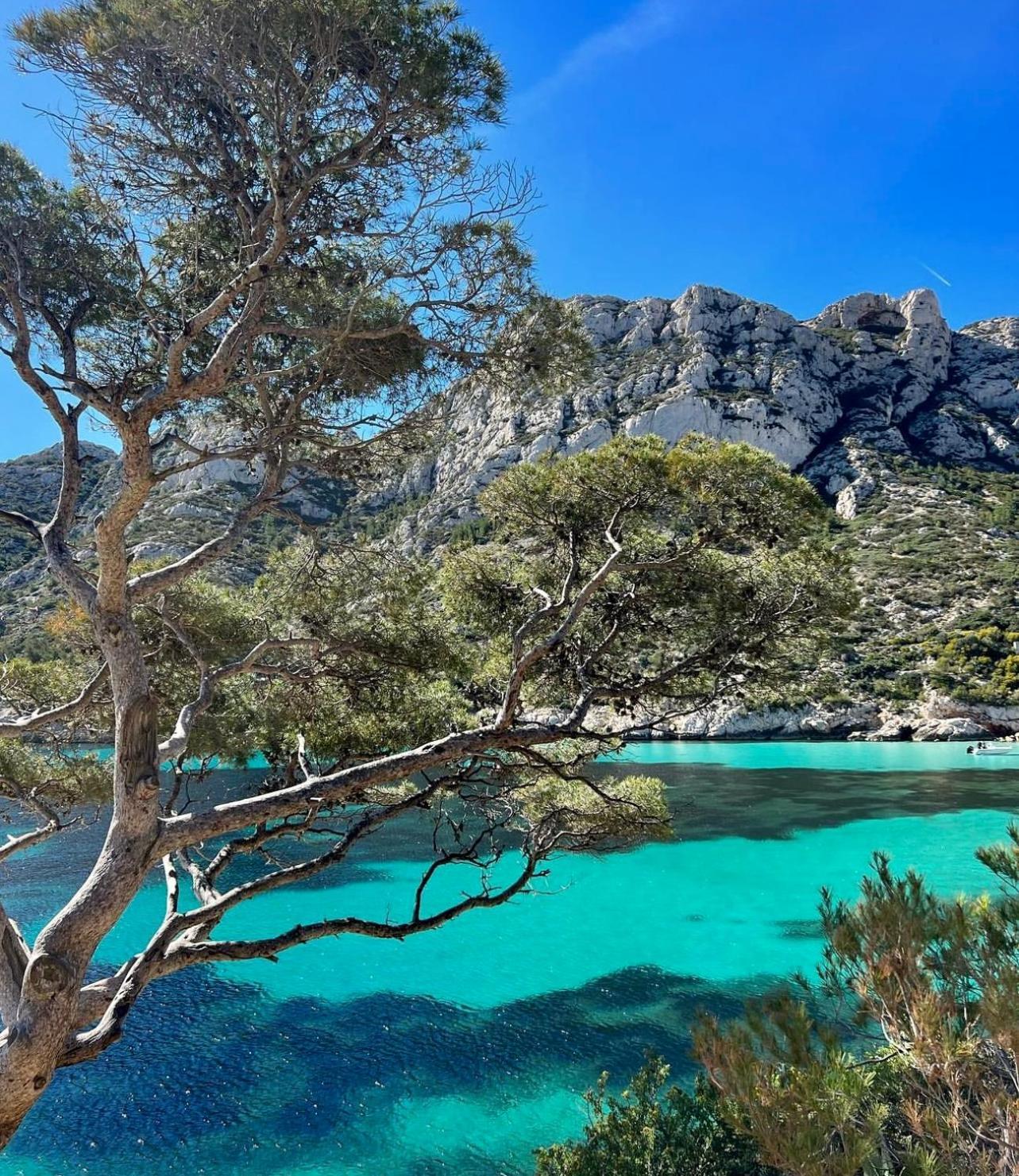 Logement Vue Mer Splendide - Situe A 50 Metres Du Bord De Mer Et 2 Minutes Des Plages - Bandolina Dış mekan fotoğraf