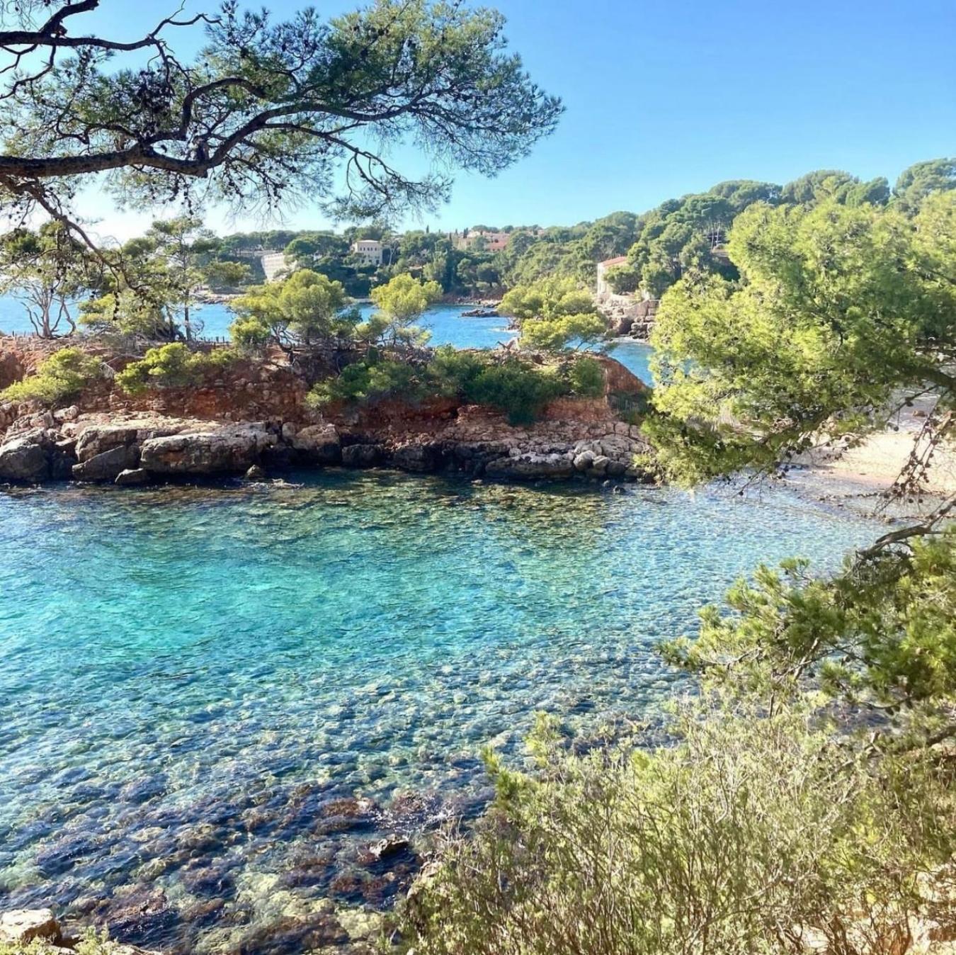 Logement Vue Mer Splendide - Situe A 50 Metres Du Bord De Mer Et 2 Minutes Des Plages - Bandolina Dış mekan fotoğraf